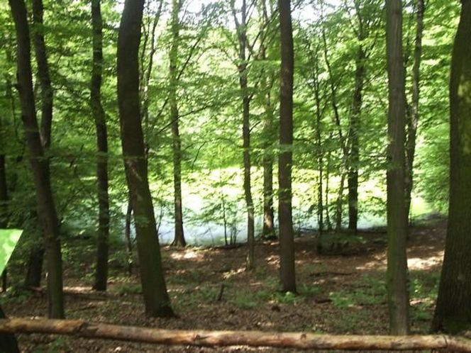 7. Rezerwat Meteoryt Morasko