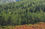Tatry jesienią 2025