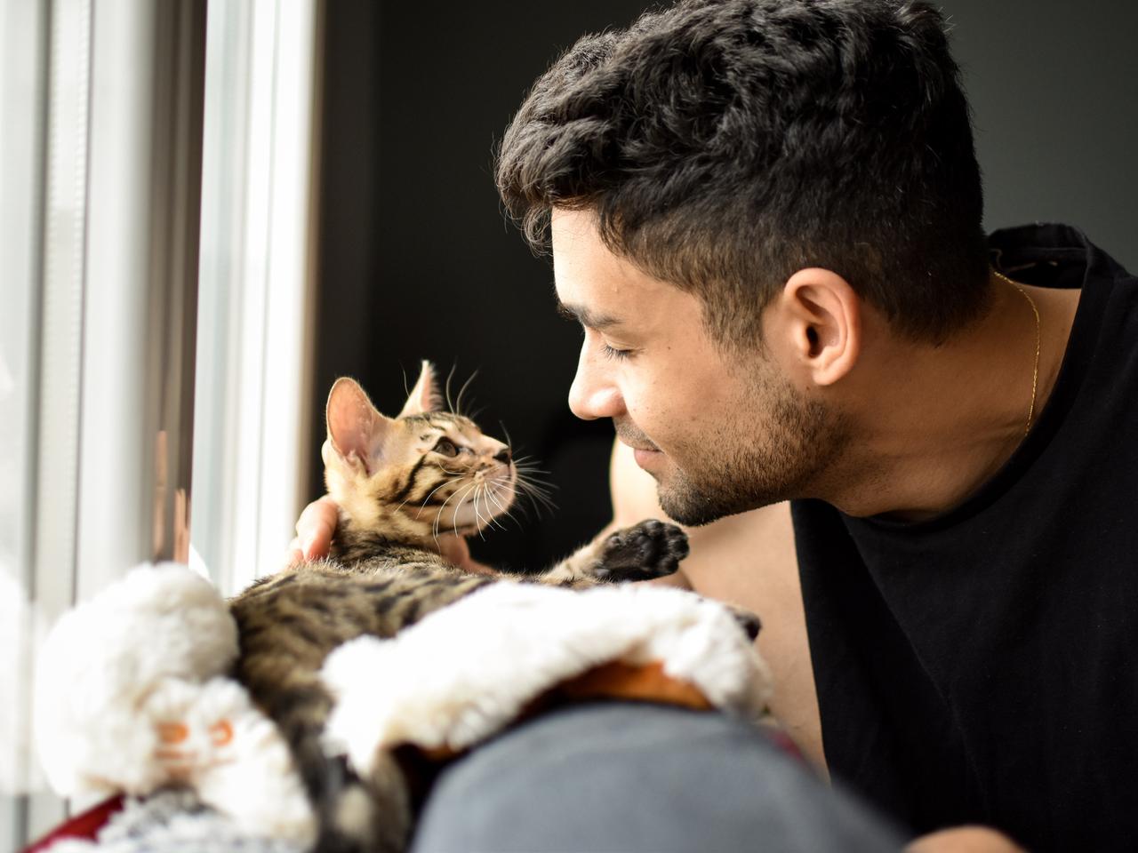 Kocie pasożyty powodują zaburzenia psychotyczne? Szczególnie narażeni mężczyźni 