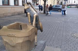 Ten koziołek nie skakał, a ma złamaną nóżkę. Co dalej z lubelskim poidełkiem? 