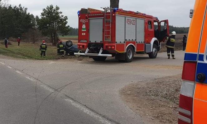 Mońki: Wypadek na DK 65. Citroen uderzył w drzewo. 7-letnia dziewczynka w szpitalu 