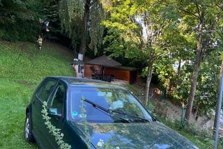 Samochód osobowy wypadł z drogi, wylądował w kwietnikach, a kierowca... Poszedł do domu