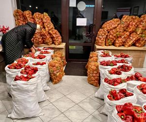 Romanowski wspiera rolnika. Zaprasza do poselskiego biura po paprykę