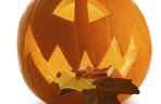 Halloween dynie