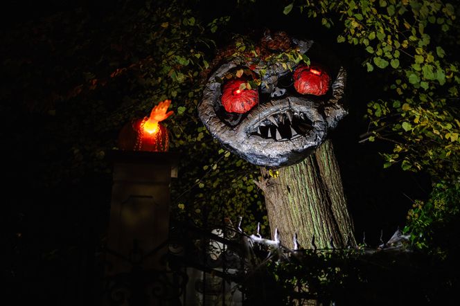 Willa na Jaśkowej Dolinie w Gdańsku