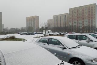 Spadł pierwszy śnieg! Zobacz jak wyglądają ulice Poznania