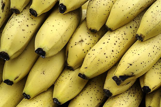 Na bananach znaleziono kokon groźnego pająka