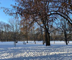 Śnieżna zima w Parku Praskim