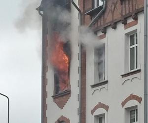 Poważny pożar w Gorzowie! Spłonęło mieszkanie. Potrzebna pomoc dla rodziny, która straciła dorobek życia 