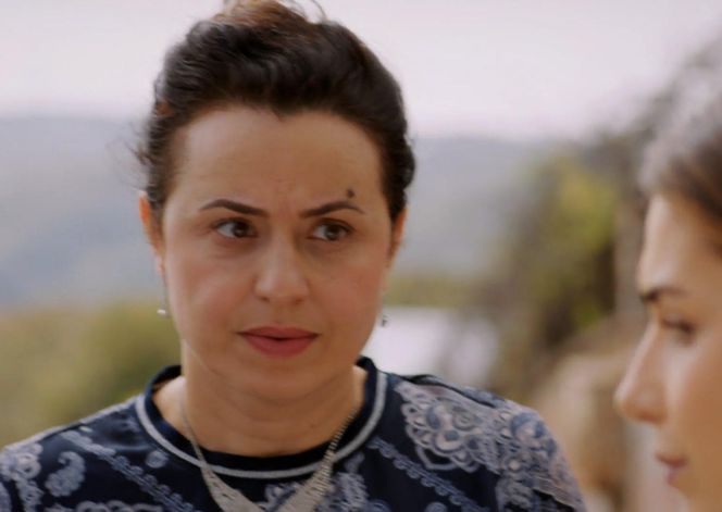 Miłość i nadzieja odcinek 282: Cavidan, Sila