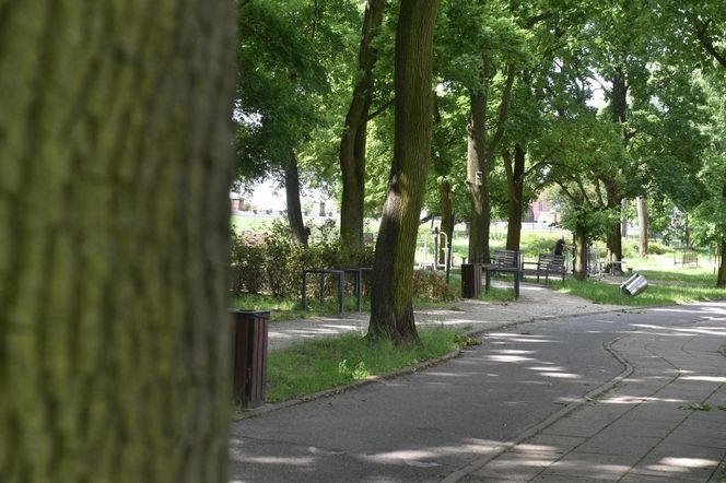 Park Glazja w Toruniu. To tutaj doszło ataku na 24-letnią kobietę