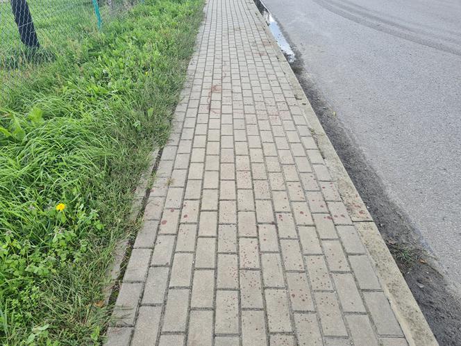 Leżajsk. Obciął dłoń maczetą [ZDJĘCIA]