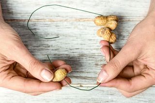 DIY: świąteczna zawieszka z fistaszków – instrukcja wykonania (3)