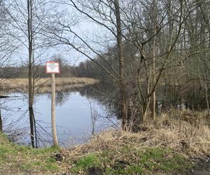 Zmiany w Parku Odrzańskim w Zielonej Górze. Zobacz jak wygląda obecnie