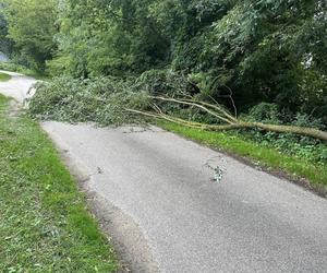 Wichury w Podlaskiem. Setki interwencji strażaków w całym regionie