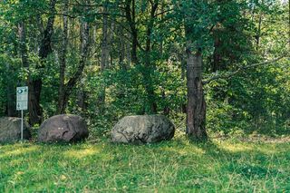 Białystok buduje Park Bioróżnorodności