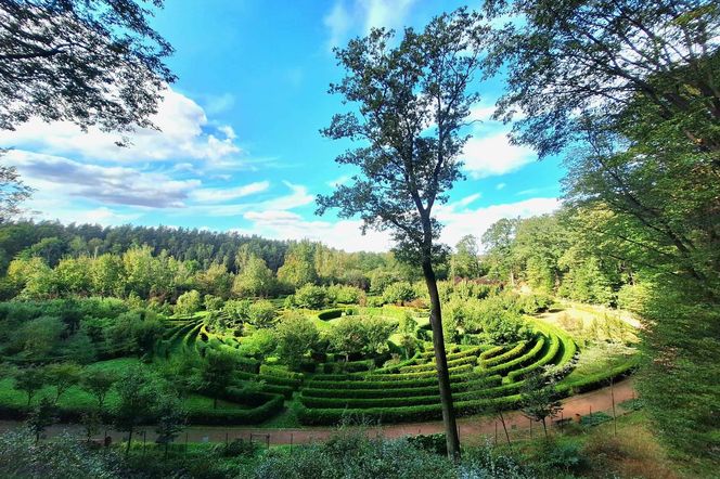 Arboretum Bramy Morawskiej zachwyca jesienią