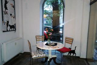 Katowice: Pierwsza na Śląsku Kocia Kawiarnia działa już trzy tygodnie! [ZDJĘCIA]