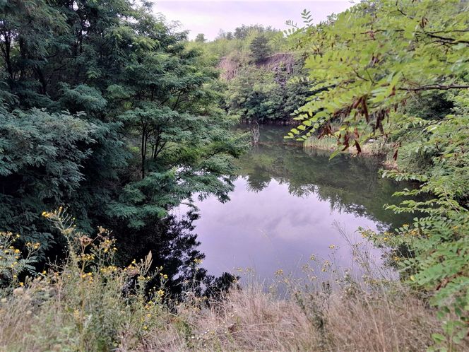 Bazaltowe słupy na Dolnym Śląsku