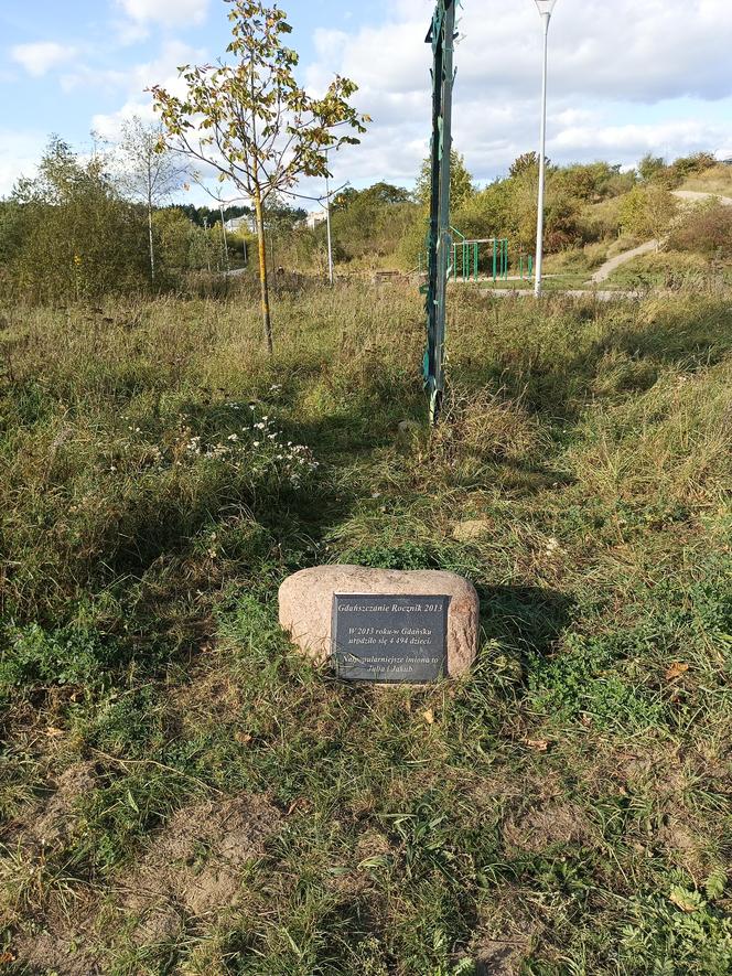 Gaj Matek i Ojców w Gdańsku zaniedbany. Miał być symboliczny park, są uschnięte drzewa i wysoka trawa