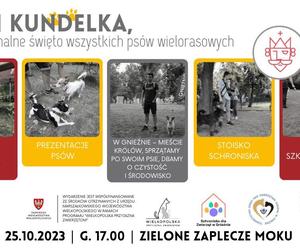 Dzień kundelka