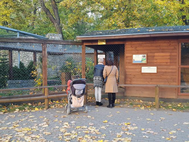 Park 1000-lecia w Lesznie na chwilę przed zachodem słońca