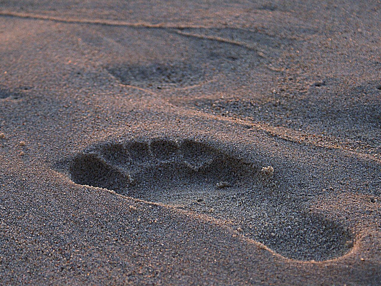 Ważne odkrycie archeologów - sądzono, że ludzie pojawili się tam znacznie później!