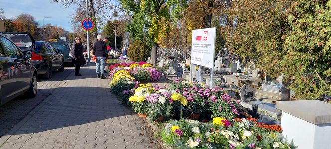 Przygotowania do Wszystkich Świętych Zamość