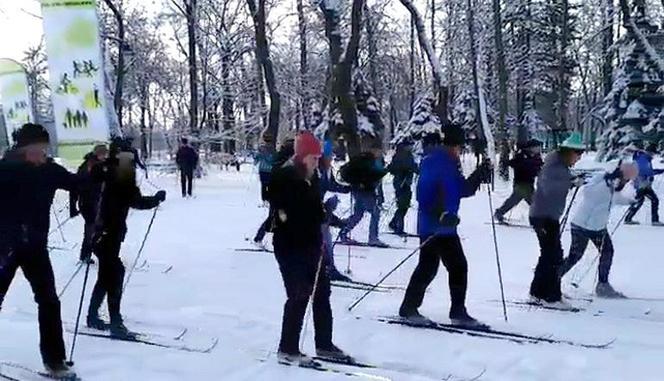 Bieganie na nartach w Łodzi. Darmowe zajęcia w miejskich parkach [WIDEO]