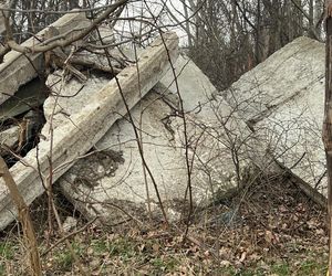 Park Żerański w Warszawie