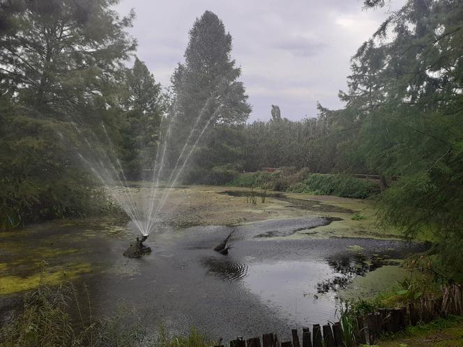 Arboretum Bolestraszyce