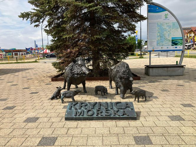 Krynica Morska to popularne miejsce na urlop. Jakie sątu ceny?
