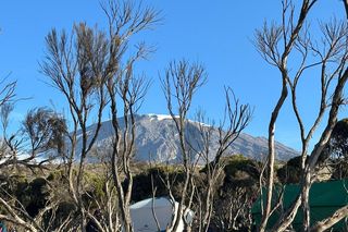 Petru na Kilimandżaro