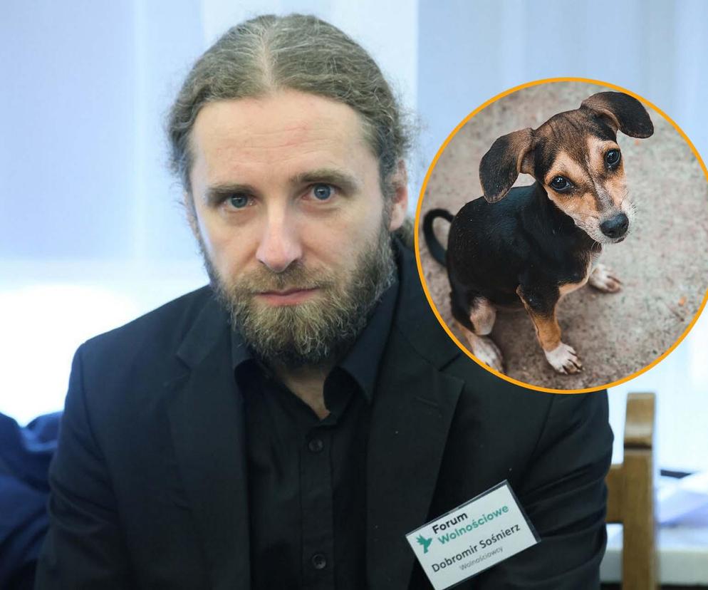Popierał jedzenie psów, teraz jest poza Sejmem. Wyborcza porażka Dobromira Sośnierza