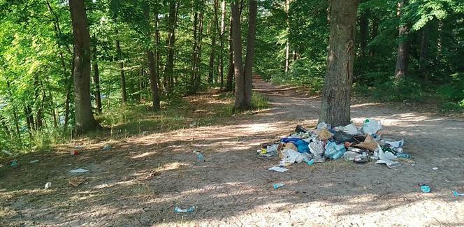 Tak wygląda dzika plaża w Smukale