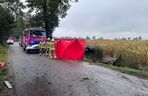 Wypadek Łanięta