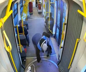 Szokujące sceny z tramwaju w Warszawie. Opublikowano właśnie nagranie. „Trzymaj się mocno”