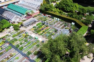 Najpiękniejsze ogrody botaniczne w Polsce. Idealne na majówkowy spacer i chwilę relaksu