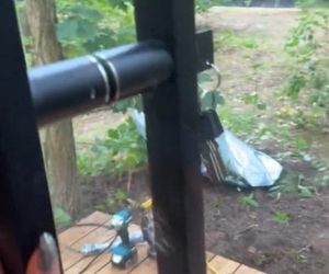 Leśny azyl Julii Wieniawy to czyste złoto! Pokazała luksus od środka