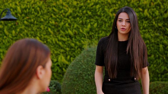 Miłość i nadzieja odc. 315. Sila, Bahar