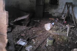 Kojec zarośnięty przez krzaki, sznury u szyi. W takich warunkach żyły psy w Krakowie. Interweniował KTOZ