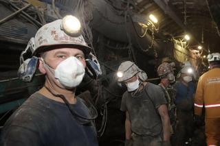 Zakaz dla górników-brodaczy. Behapowiec w akcji