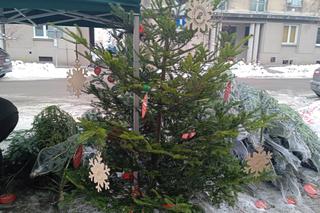 Choinka dla życia. Oddaj krew i zabierz choinkę do domu