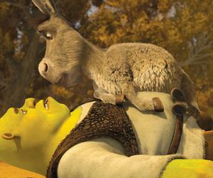 Shrek 5. Kto zastąpi Jerzego Stuhra jako Osła? Wybór wydaje się oczywisty!