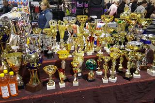 EXPO SILESIA DOG SHOW 2017
