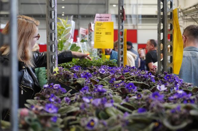 Festiwal Roślin w Lublinie