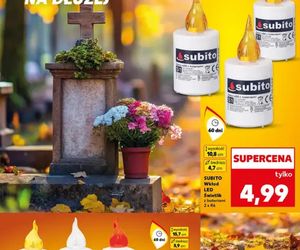 Ceny zniczy - Kaufland