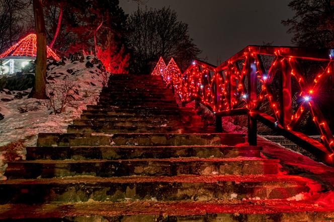 Bytom poleca się na walentynki. Jest już wyjątkowa iluminacja na Górze Miłości