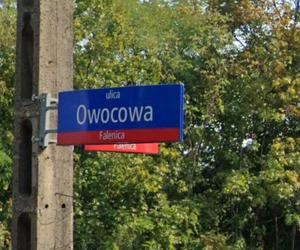Oto najsmaczniejsze ulice w Warszawie