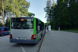 Olsztyn. Na grzyby do lasu? Po co, skoro rosną w autobusie miejskim [ZDJĘCIA]